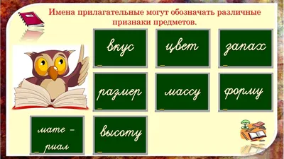 17. Тема 14. Морфология. Части речи. Имя прилагательное. | Школа русского  языка и словесности | Дзен