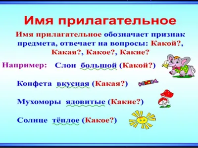 17. Тема 14. Морфология. Части речи. Имя прилагательное. | Школа русского  языка и словесности | Дзен