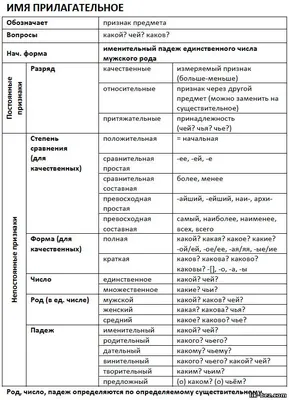 Имя прилагательное • Образавр