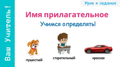 Имя прилагательное online exercise | Online activities, School subjects,  Online workouts