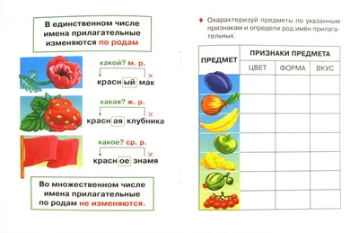 Имя прилагательное | Удоба - бесплатный конструктор образовательных ресурсов