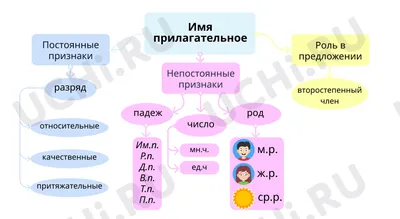 Имя прилагательное – наглядное пособие – Корпорация Российский учебник  (издательство Дрофа – Вентана)