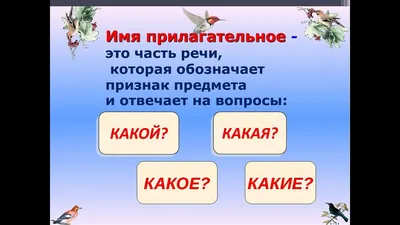 Иллюстрация 1 из 12 для Части речи. Имя прилагательное - Ольга Ушакова |  Лабиринт - книги. Источник: Лабиринт