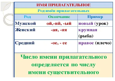 Имя прилагательное как часть речи. Русский язык, урок 23 (аудио), 2 класс.  В школу с Верой и Фомой | В школу с Верой и Фомой / Вера и Фома | Дзен