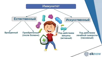 https://www.vladokb.ru/news/769-immunitet.html