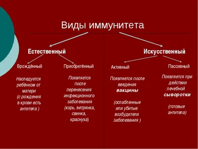 Как укрепить иммунитет