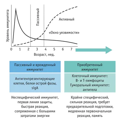 Иммунитет. Как у тебя дела? Всё о нашем органе, работа которого не видна,  Михаэль Хаух – скачать книгу fb2, epub, pdf на ЛитРес