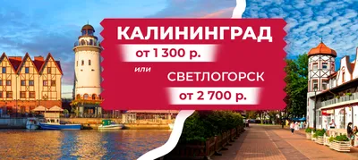 Торгово-развлекательный центр Clover Citycenter Калининград | Торговая  недвижимость | gotoMall