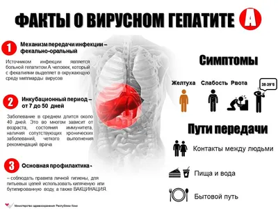 Профилактика инфекционных заболеваний | Официальный сайт государственного  бюджетного учреждения здравоохранения «Выборгская межрайонная больница»