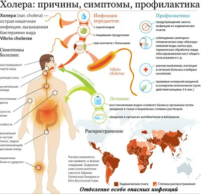 Инфекции верхних дыхательных путей (ИВДП) ✚ Медицинский Центр \"КудровоМед\" ✚