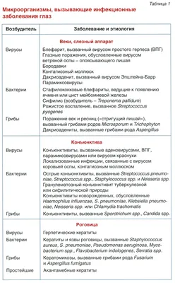 Перевод нового коронавируса со второго на пятый уровень опасности:  классификация опасных инфекционных болезней в Японии | Nippon.com