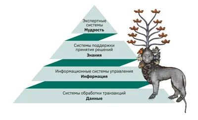 Важная информация