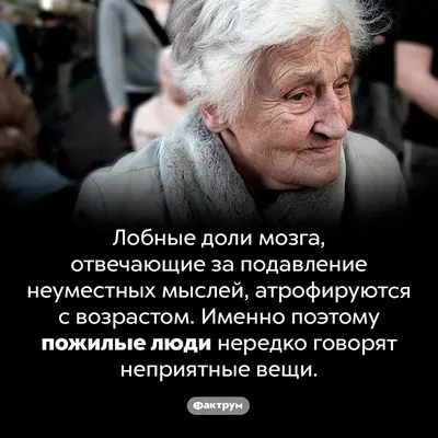 Вы знали, что муха воспринимает картинку в 4 раза быстрей, чем человек? |  Интересные и удивительные факты | Дзен