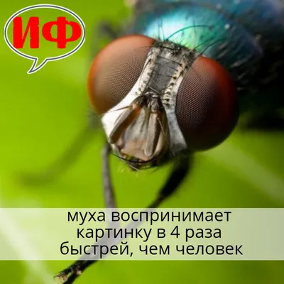 ПОЛОЖЕНИЕ о проведении районного конкурса творческих работ - Статьи -  «Байкальские зори», СМИ сетевое издание