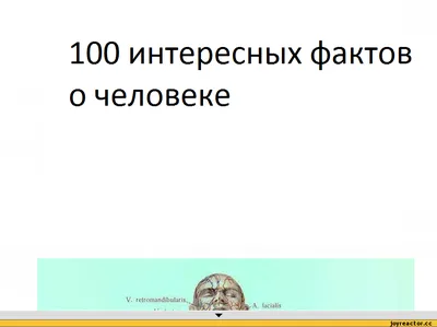 100 интересных фактов о человеке / длинные картинки :: статистика :: 100 интересных  фактов о человеке :: человек :: интересное (интересные факты, картинки и  истории ) / смешные картинки и другие приколы: комиксы, гиф анимация,  видео, лучший ...