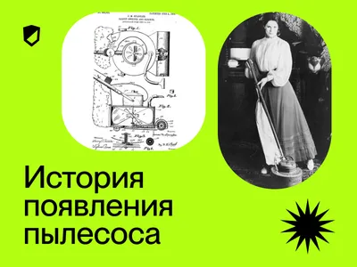 Юридический институт. Владимирский государственный университет имени  Александра Григоревича и Николая Григорьевича Столетовых