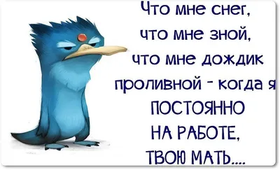 красивые молодые девушки в оаэ и пакистане, красивые аватарки для Whatsapp,  Whatsapp, Whatsapp телефон фон картинки и Фото для бесплатной загрузки