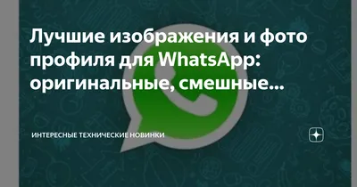 WhatsApp для iPhone обновился — завезли четыре классные опции