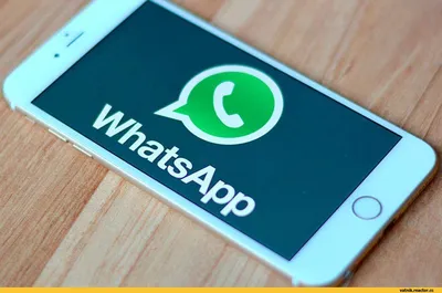 WhatsApp отзыв от Натальи - Лобова