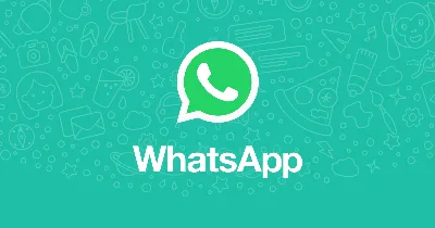 Топ 5 самых интересных фишек мессенджера WhatsApp | AppsForMobile | Дзен