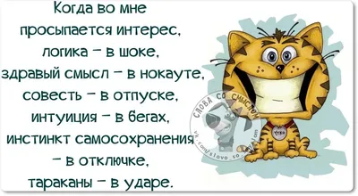 Коллекция замечательных картинок ПРО ДУШУ со смыслом и юмором | Юмор, Юмор  о настроении, Веселые высказывания