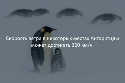 Интересные факты в картинках ч.1 | Пикабу