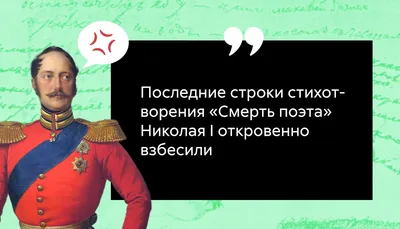 До чего же милый кот. Интересные факты о хвостатых | «Красный Север»