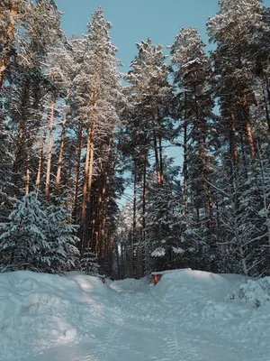 Валерий Кузьминых - Фотографии Йошкар-Олы - Фотопроект Йошкар-Ола: смотреть  и видеть.