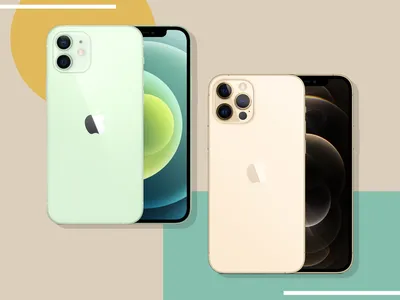 iPhone 12 Pro and Pro Max colors: all the official hues - PhoneArena