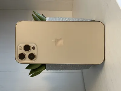 Identify your iPhone model - Apple Support