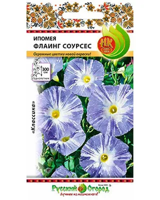 Ипомея батат Sweet Caroline Purple 890 руб. AGRO48115