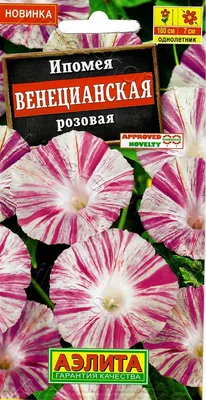 Ипомея Пурпурная смесь 1 г Gl Seeds (ID#541871903), цена: 8 ₴, купить на  Prom.ua