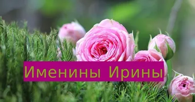 Именины (День Ангела) Ирины: значение имени и поздравления - Телеграф