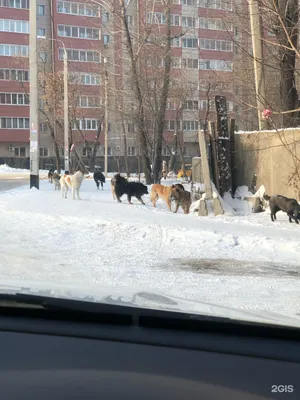 Продам однокомнатную новостройку на улице Костычева 28/4 в Свердловском  районе в городе Иркутске 23.0 м² этаж 7/12 2868000 руб база Олан ру  объявление 81934458