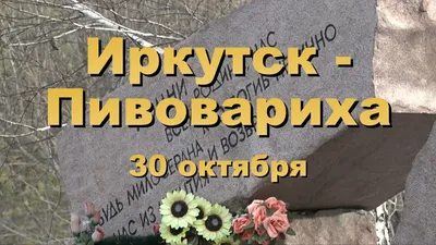 Въезд в село Пивовариха, недалеко от которого под Иркутском упал самолет  Ан-12, перекрыт - KP.RU