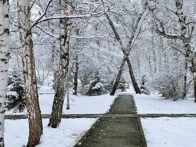 Фото Иркутская зима в городе Иркутск