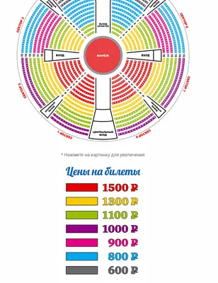 Иркутский цирк подарил бесплатные билеты лучшим пионерам г. Иркутска в  честь 100-летия Великого Октября » КПРФ ИРКУТСК