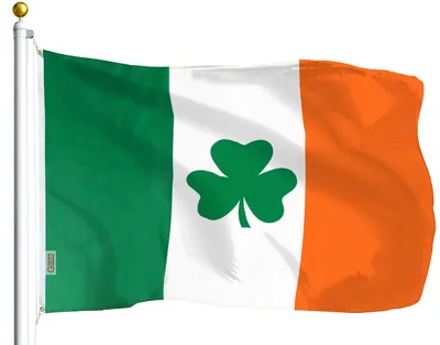 Lucky irish clover for st patricks day Royalty Free Vector