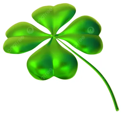 Lucky Irish Four Leaf Clover in the Field for St. Patricks Day Stock Photo  | Adobe Stock