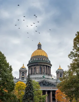 Исаакиевский собор в Санкт-Петербурге: история, как строился и кто  архитектор, описание, высота