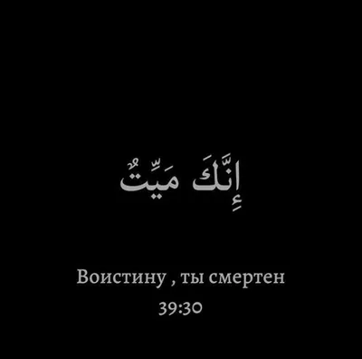 Пин от пользователя ℳ𝒶𝒹𝒾𝓃𝒶 🤍 на доске photo | Мотивационные рабочие  цитаты, Успокаивающие цитаты, Мудрые цитаты