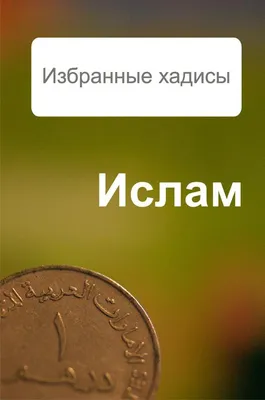 Книга исламская 40 хадисов для юных мусульман: \"Посланник Аллаха сказал\".  Мухаммад аль-Муханна. NOON - купить с доставкой по выгодным ценам в  интернет-магазине OZON (1310435013)