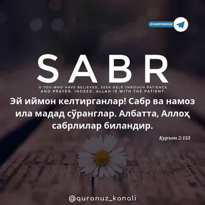 SABR is wanted by muslimahbeauty on DeviantArt