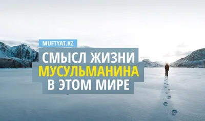 Исламская каллиграфия из Корана Сура аль-Инсан 76, среднее значение 21 аят  Векторное изображение ©zamir222333 193927078