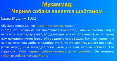 Мусульманский человек на коране с арабским смыслом каллиграфии Al Корана.  Стоковое Изображение - изображение насчитывающей мусульмане, восточно:  174308345