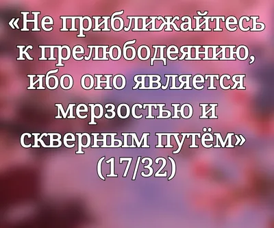 Салам алейкум: значение, правила приветствия у мусульман и песня