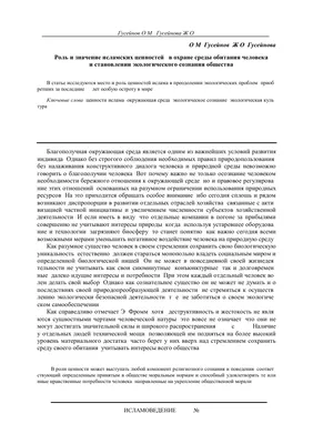 Коран. Прочтение смыслов. Фонд исследований исламской культуры | Фонд  исследований исламской культуры - купить с доставкой по выгодным ценам в  интернет-магазине OZON (296602260)