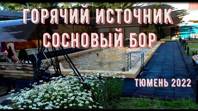 10 лучших горячих источников Тюмени — Суточно.ру