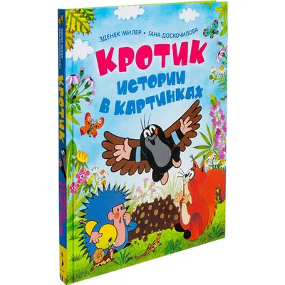 Развивающая игра \"Читаем истории в картинках\" - купить с доставкой по  выгодным ценам в интернет-магазине OZON (515421665)