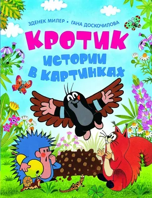 Истории в картинках. Увлекательные истории в картинках. 4 сезона. Автор:  Запесочная Е.А.. Купить книгу в Минске.